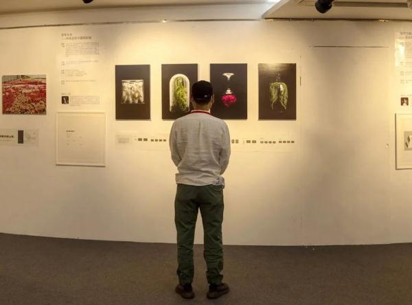 影像作品主题策划和运营人才培养项目成果汇报展顺利开幕