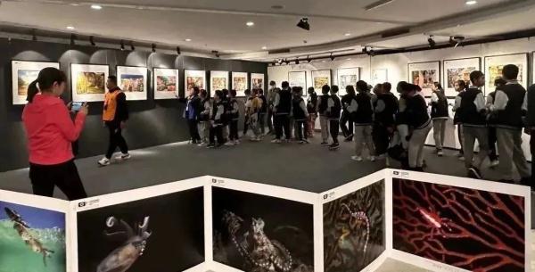 神秘与多元化的视觉之旅 | 探讨阿拉伯国家摄影特点及发展趋势