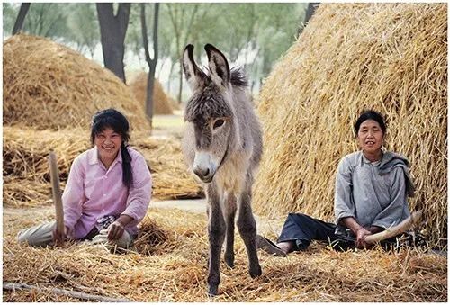 黄河百姓——朱宪民摄影60年回顾展（1963—2023）在中国美术馆举办