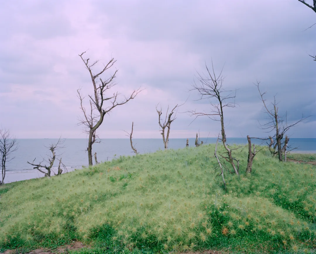 永远的风景 | 首届青年影像100艺术展（纪实摄影）