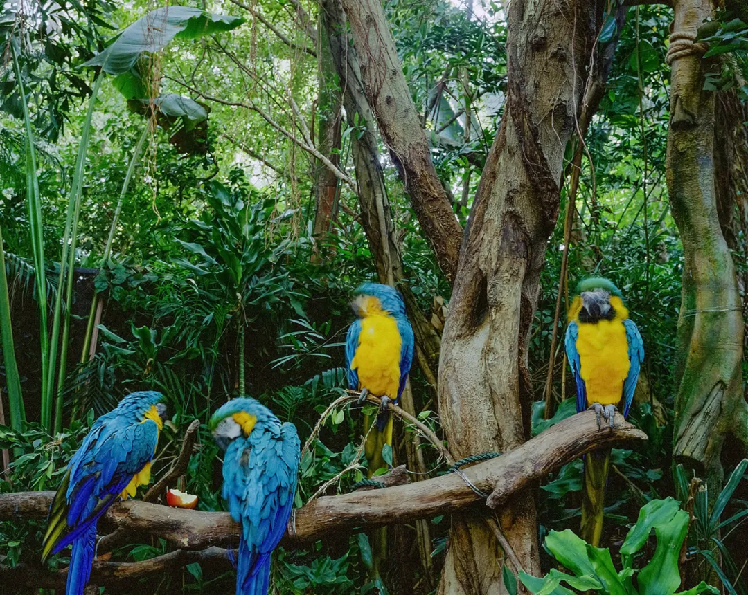 永远的风景 | 首届青年影像100艺术展（纪实摄影）