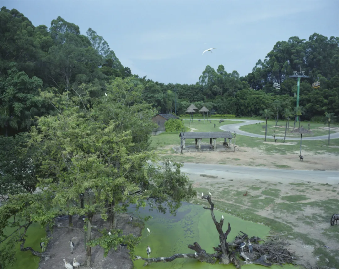 永远的风景 | 首届青年影像100艺术展（纪实摄影）